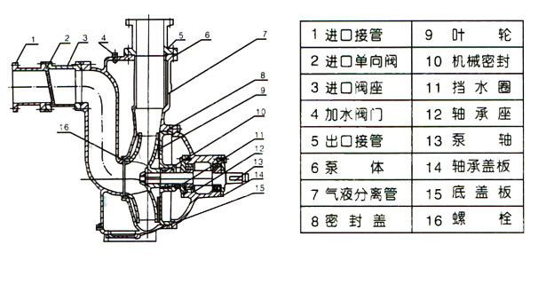 ZWP型不銹鋼自吸式無堵塞排污泵(結(jié)構(gòu)圖)